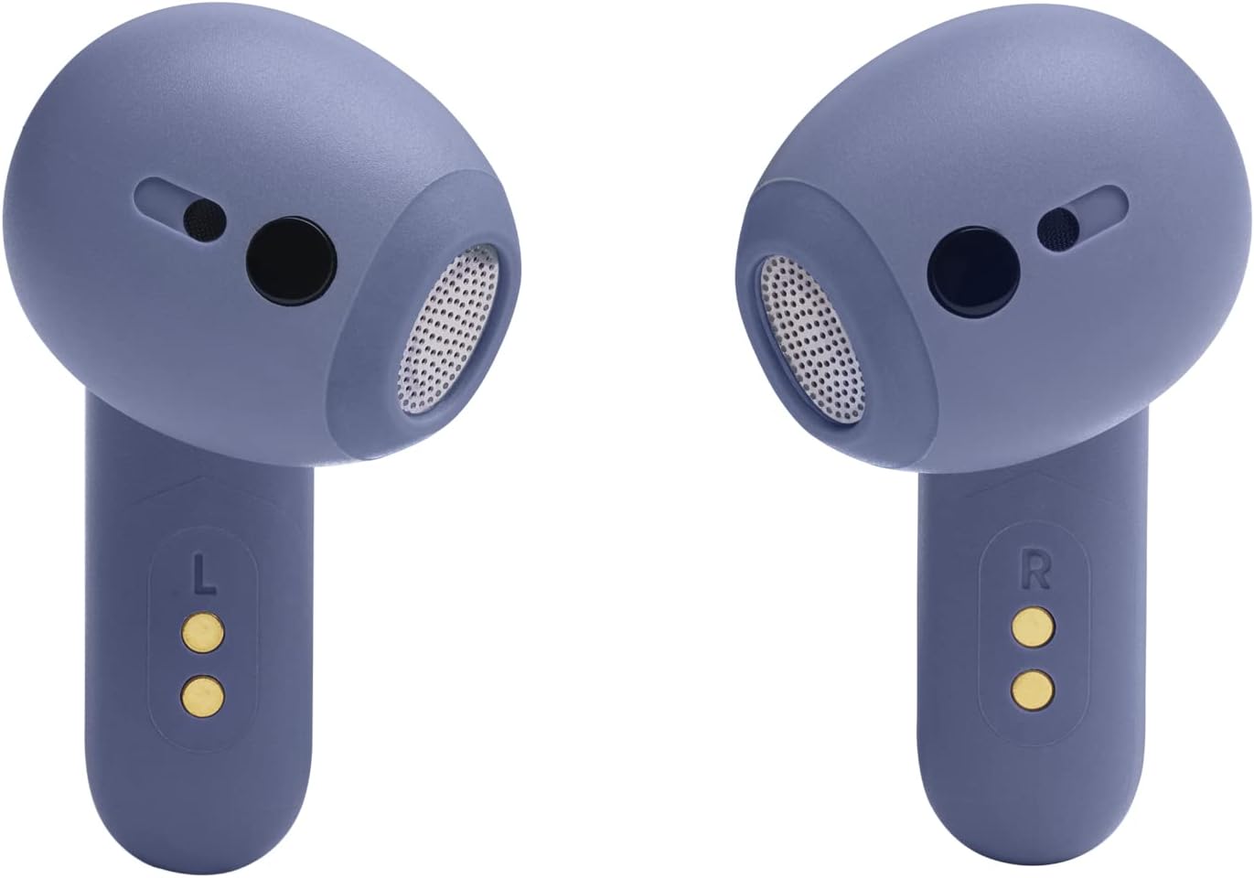 JBL Live Flex